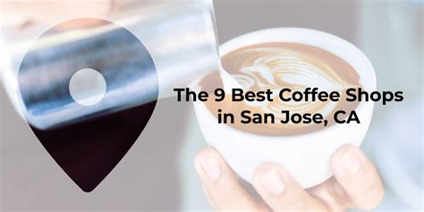 suncoast specialty coffee|8 Best Coffee Shops In San Jose 2024: Great Cafes to Try Today!.